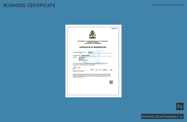 Beispielansicht der bahamaischen Registrierungsurkunde (Word und PDF)